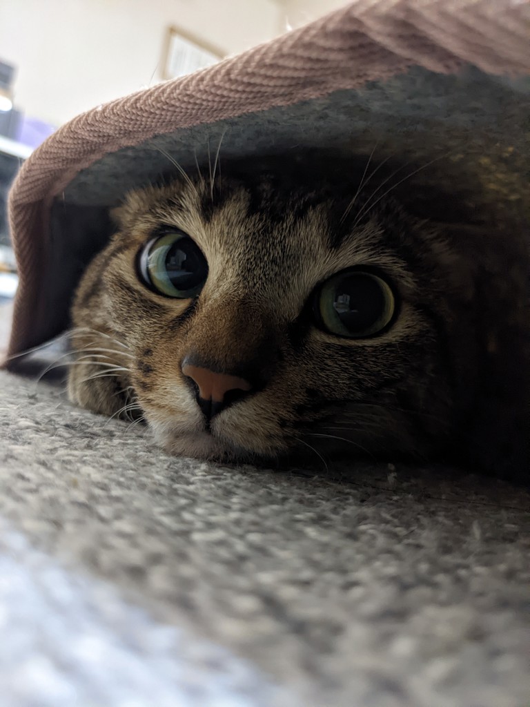 ユーザー写真