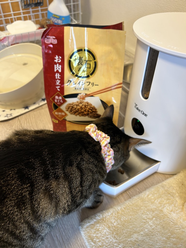 投稿写真