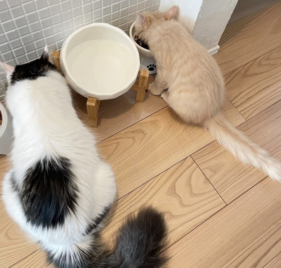 投稿写真