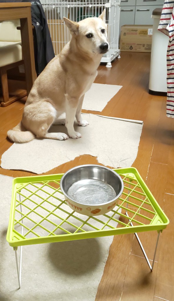 ユーザー写真