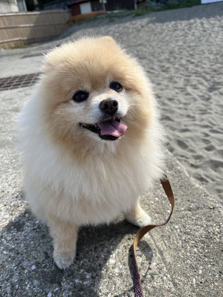 ユーザー写真
