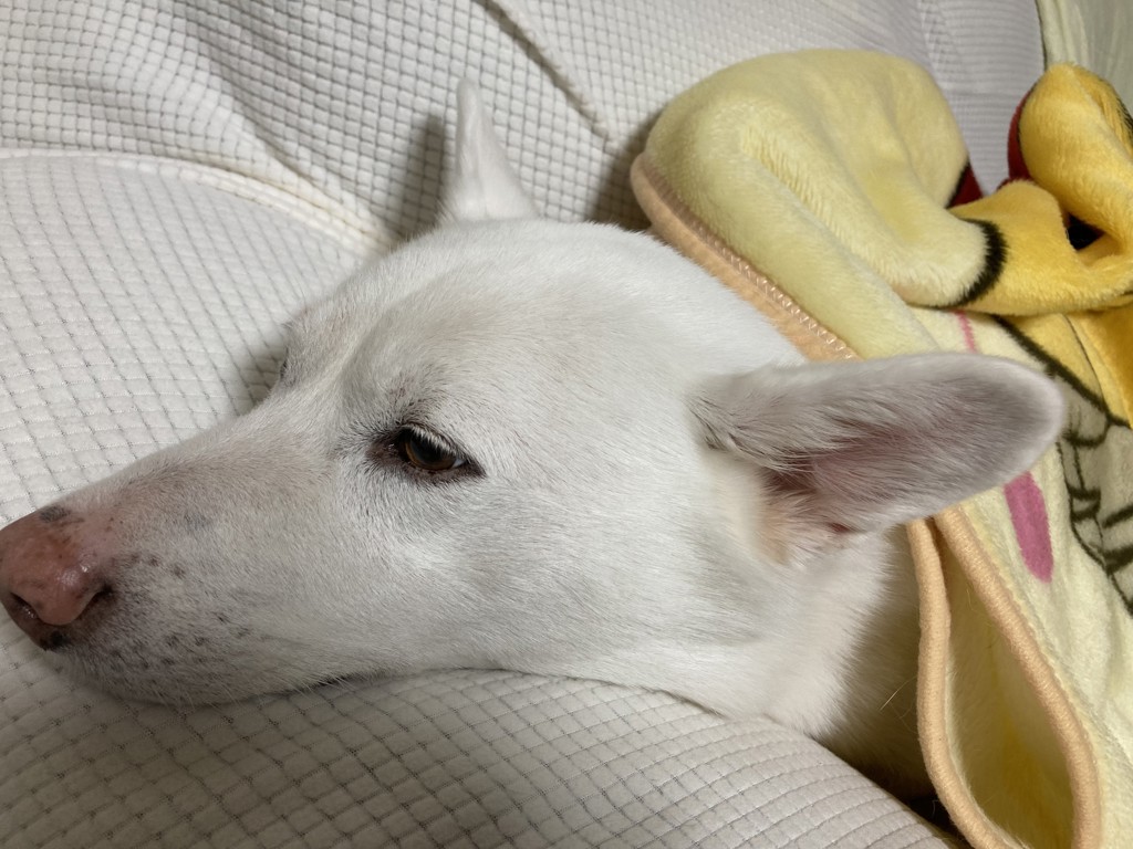 ユーザー写真