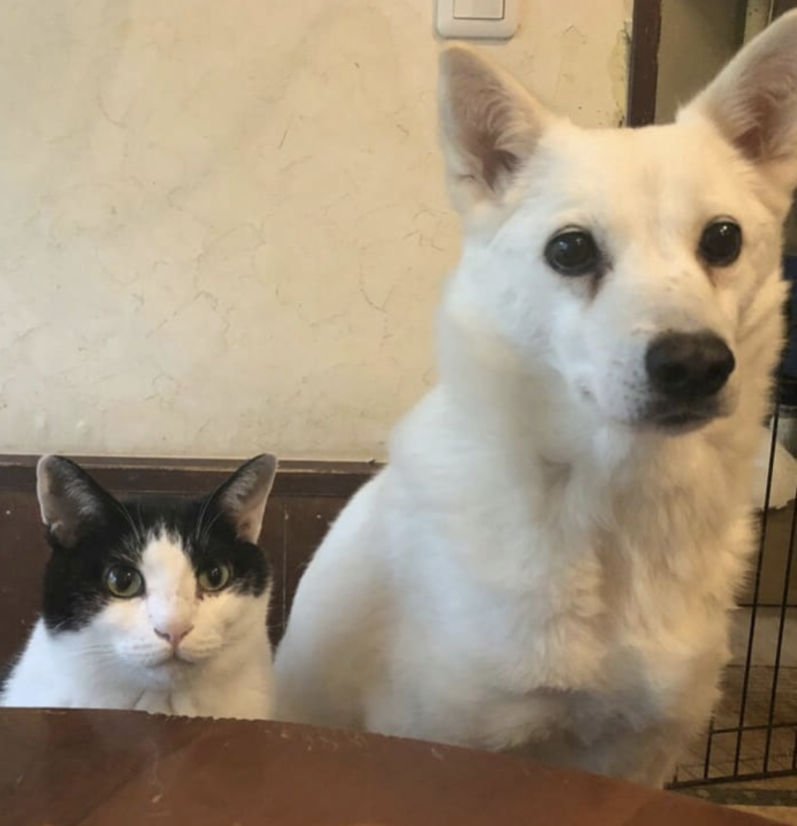 ユーザー写真