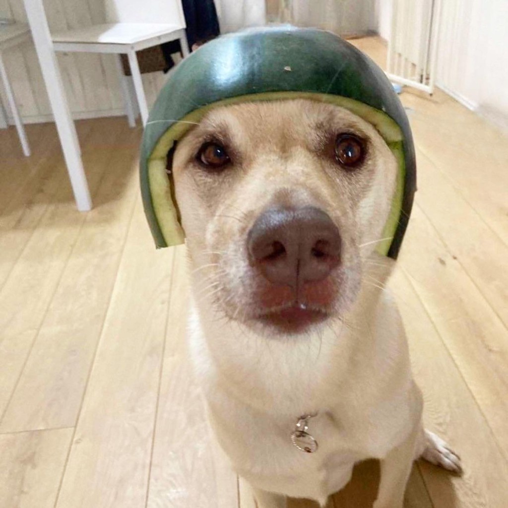 ユーザー写真