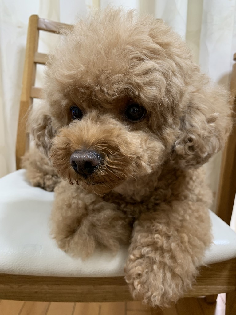 ユーザー写真