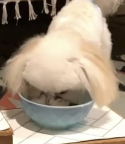ユーザー写真