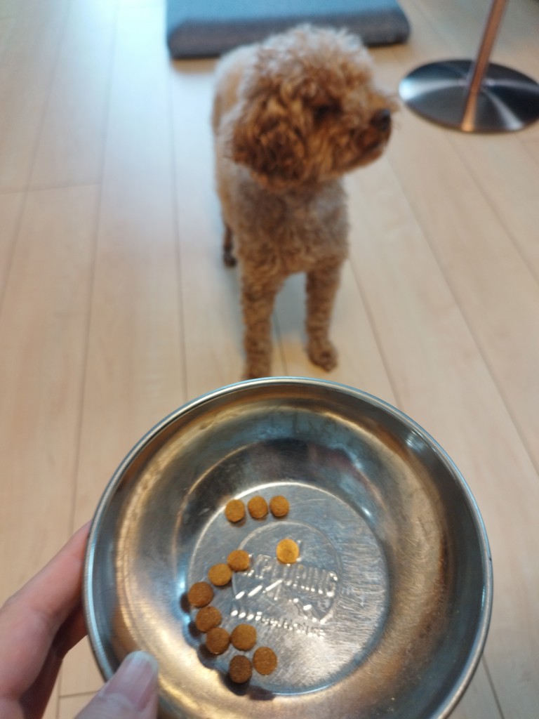 ユーザー写真
