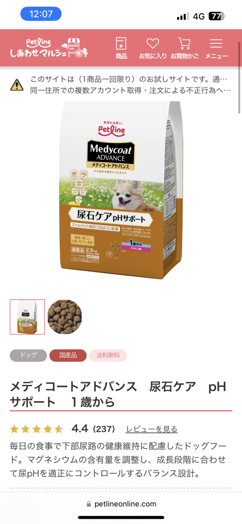 投稿写真