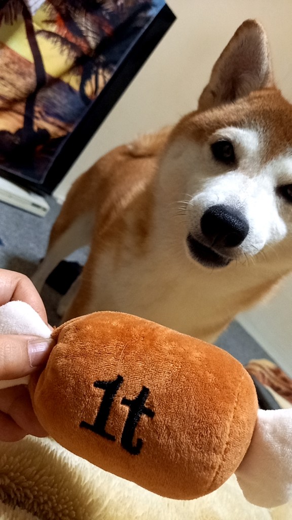 投稿写真