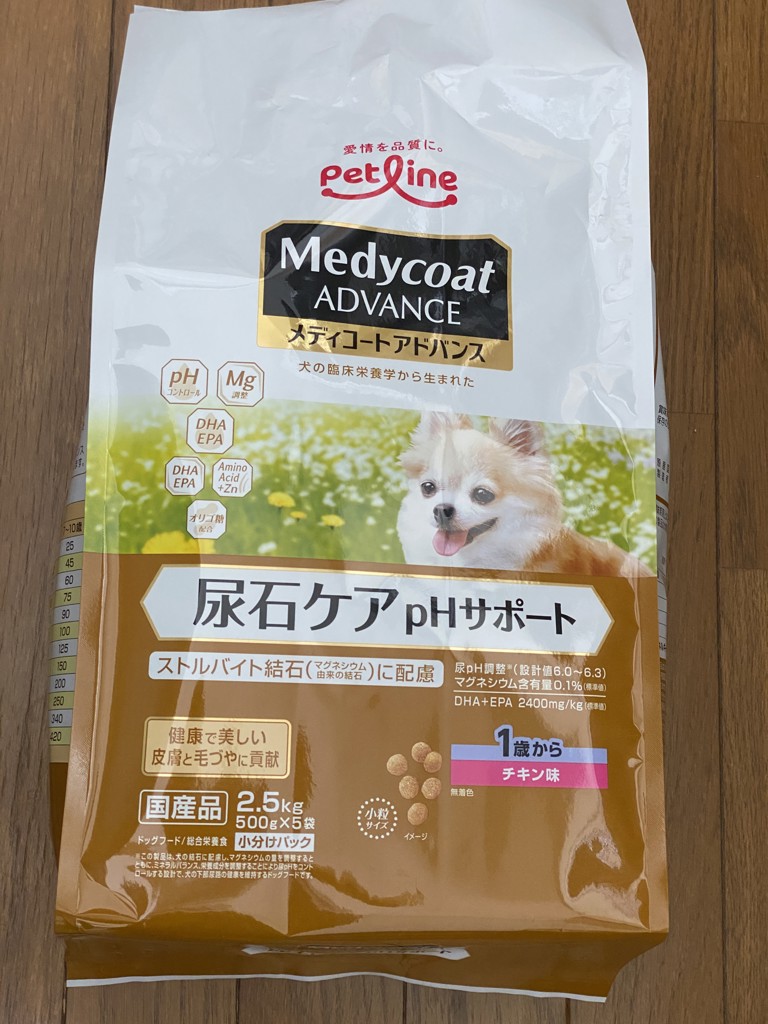 投稿写真