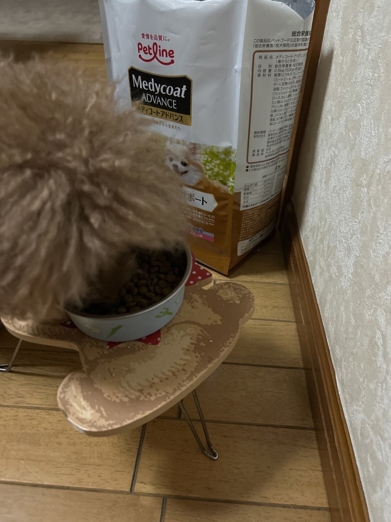 投稿写真