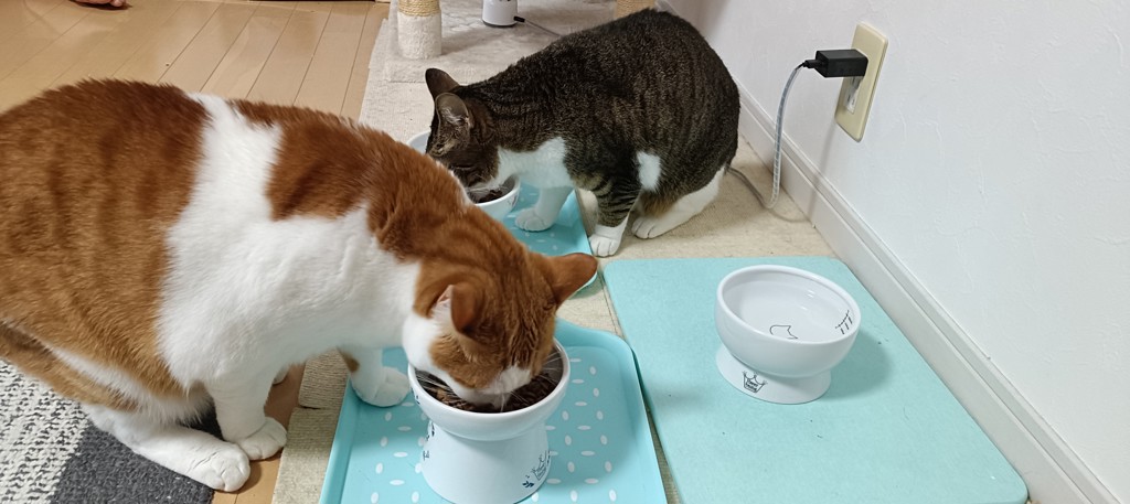 ユーザー写真