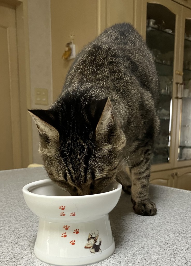 投稿写真
