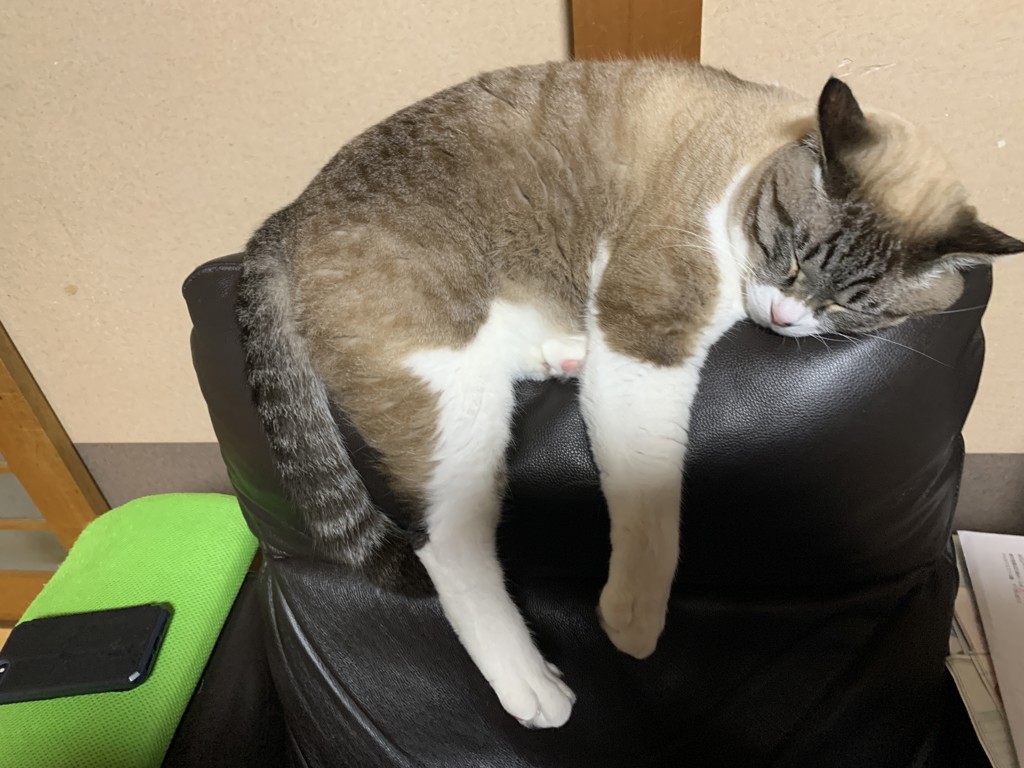 ユーザー写真