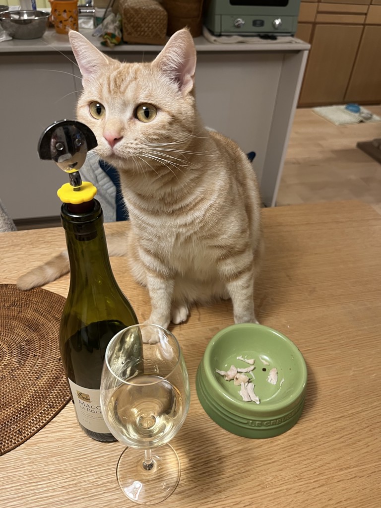 投稿写真