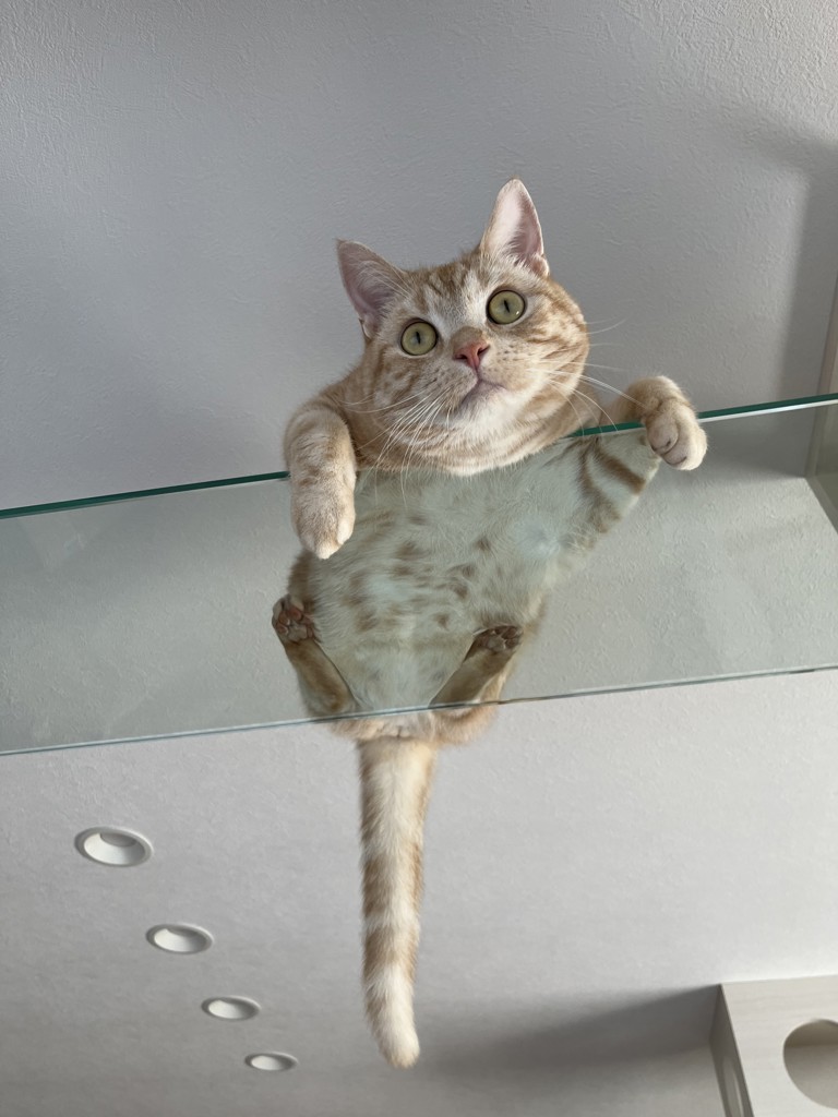 投稿写真