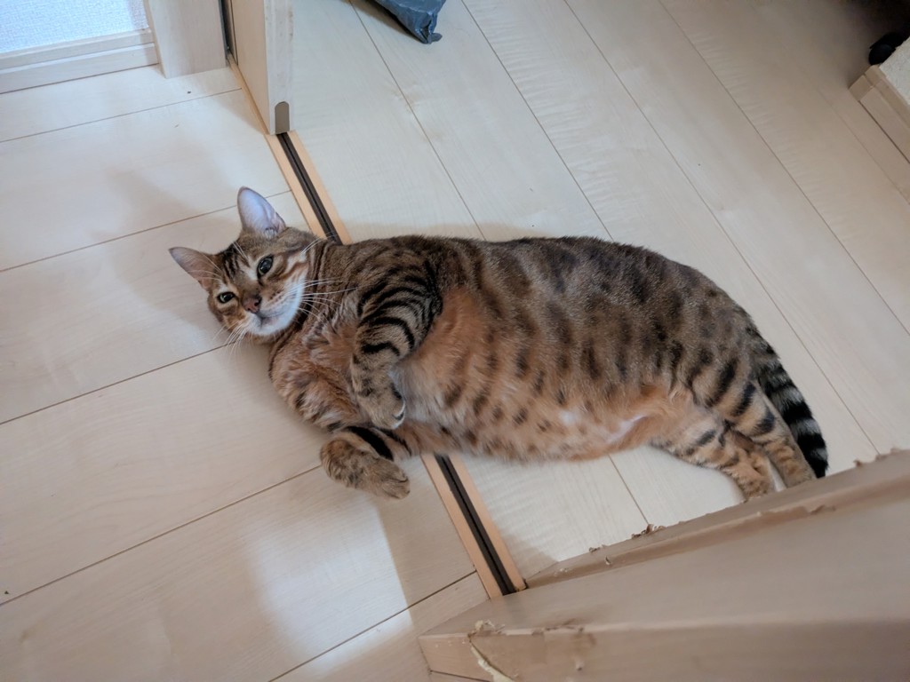 ユーザー写真