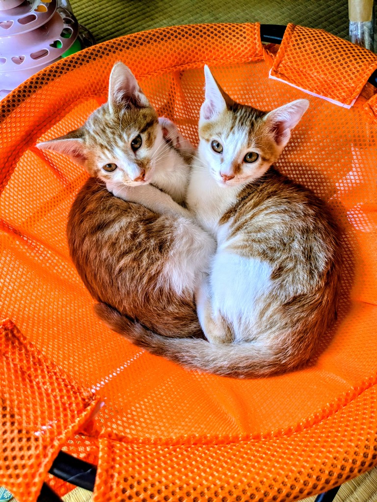 ユーザー写真