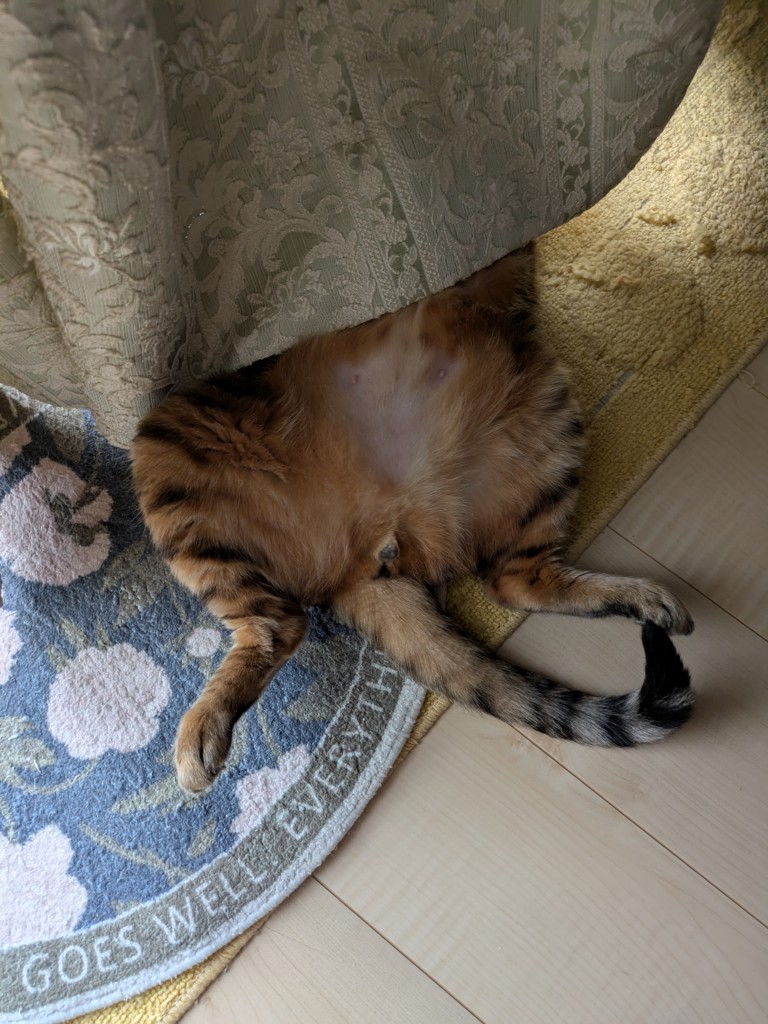 ユーザー写真