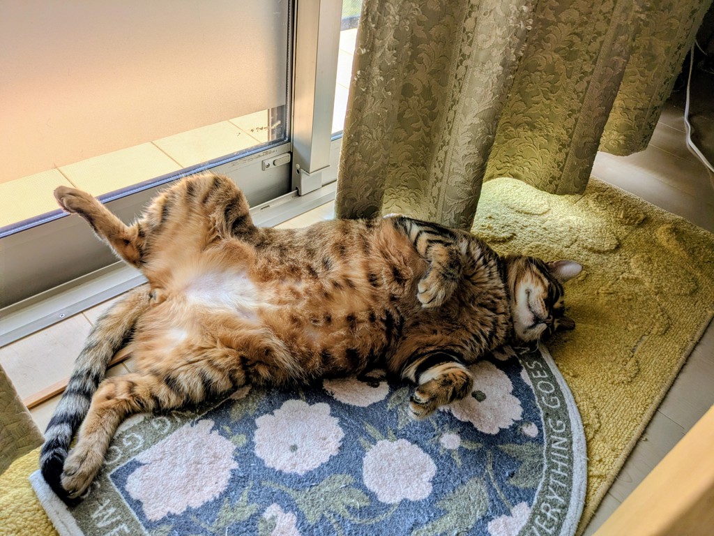 ユーザー写真