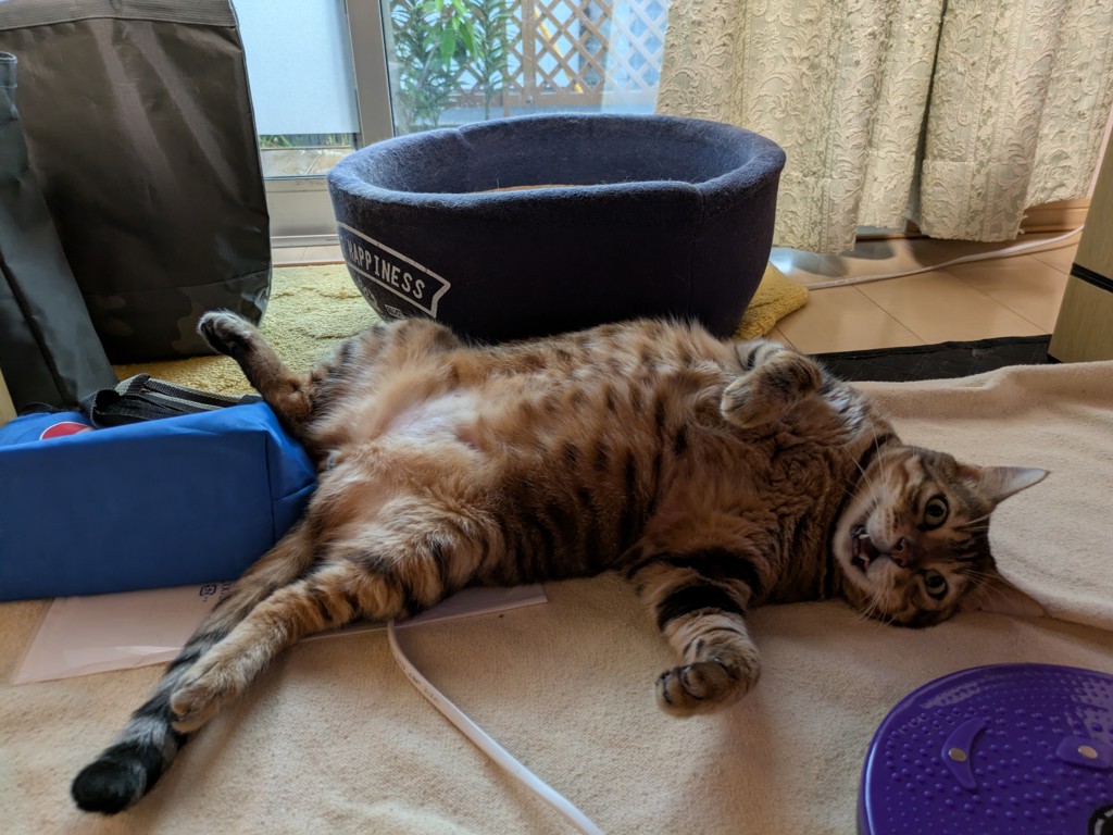 ユーザー写真