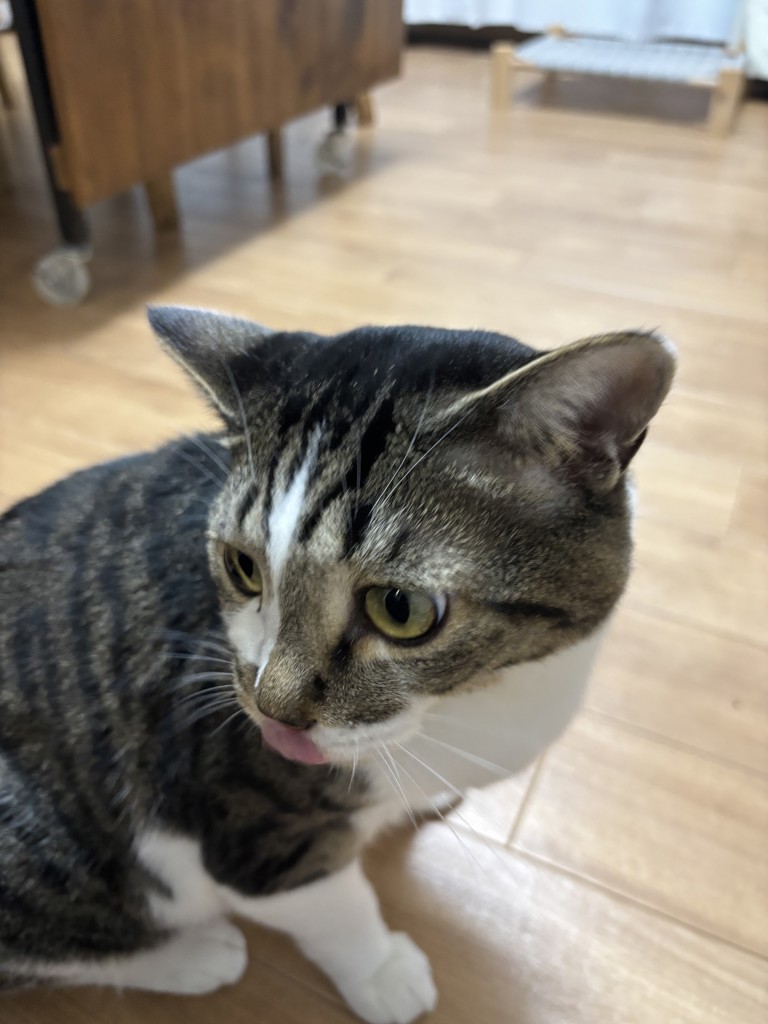 ユーザー写真