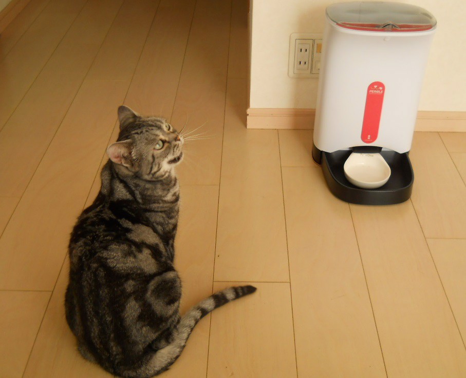 ユーザー写真