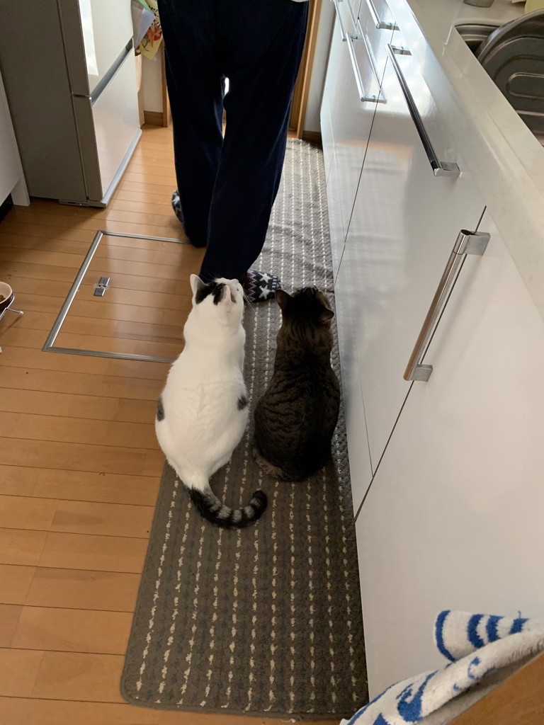 ユーザー写真