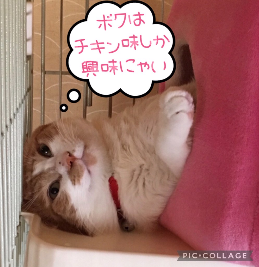 ユーザー写真