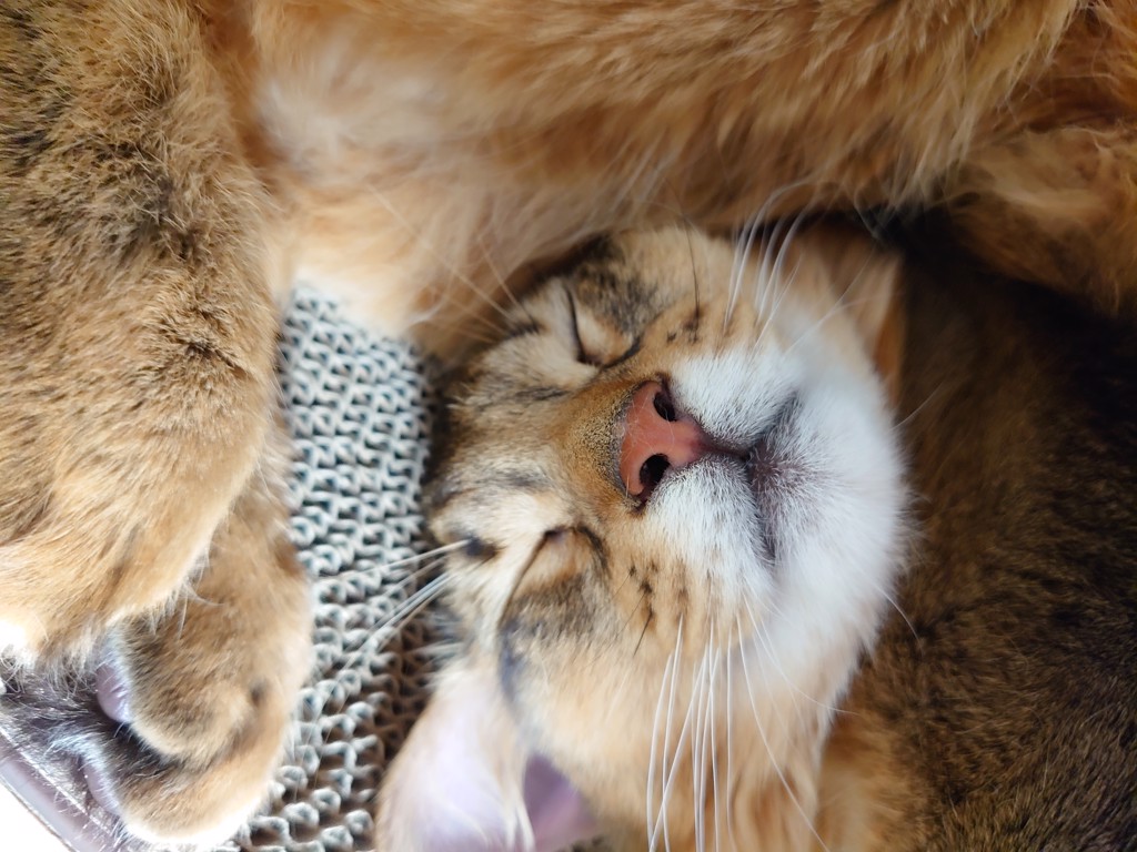 ユーザー写真