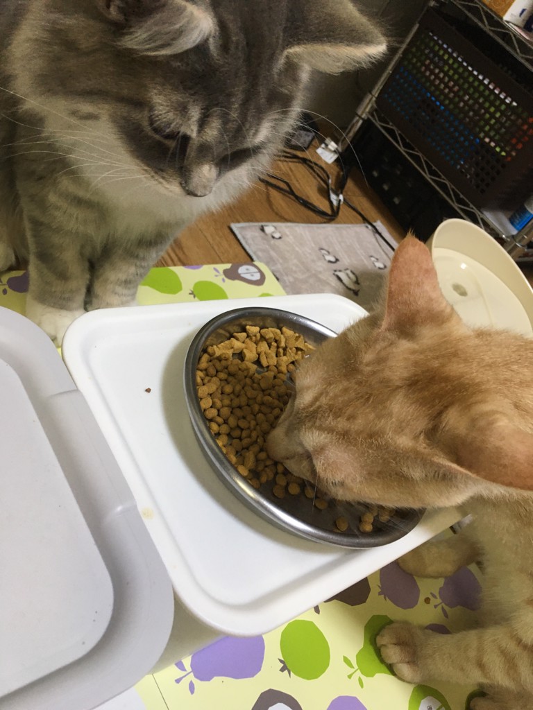 ユーザー写真