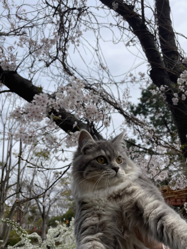 ユーザー写真