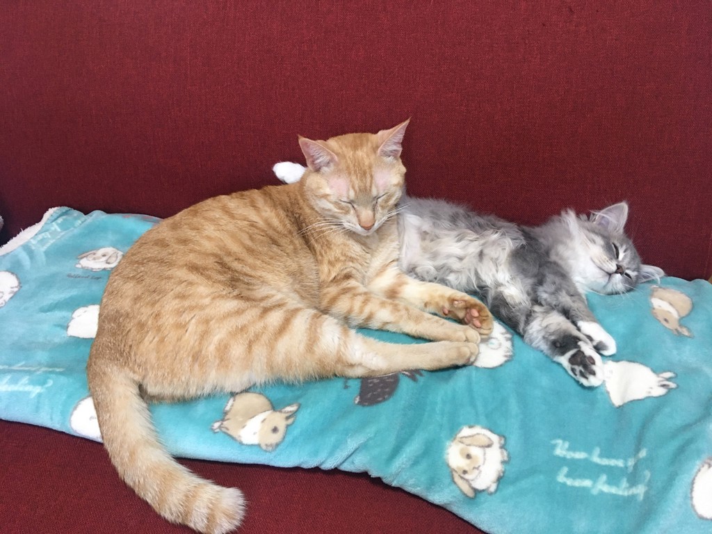 ユーザー写真