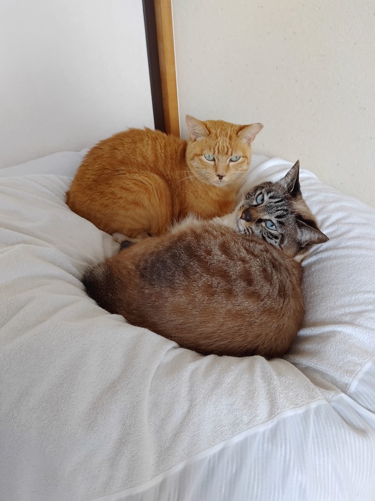 ユーザー写真