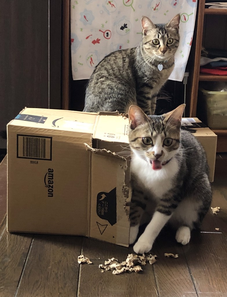 ユーザー写真