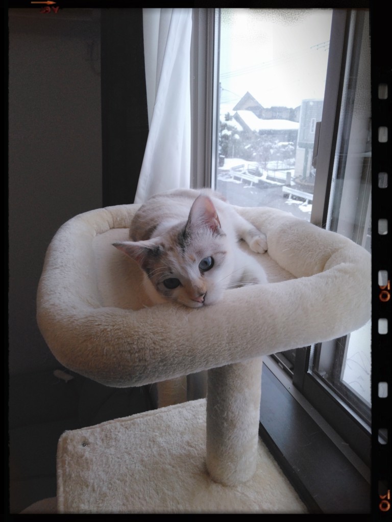 ユーザー写真
