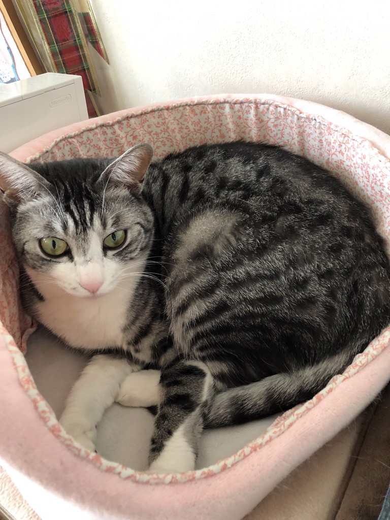 ユーザー写真