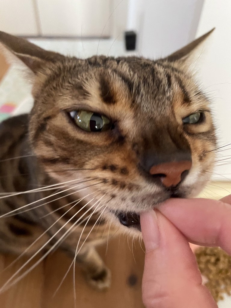 ユーザー写真