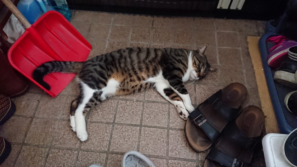 ユーザー写真