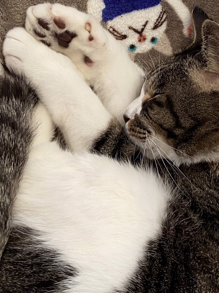 ユーザー写真