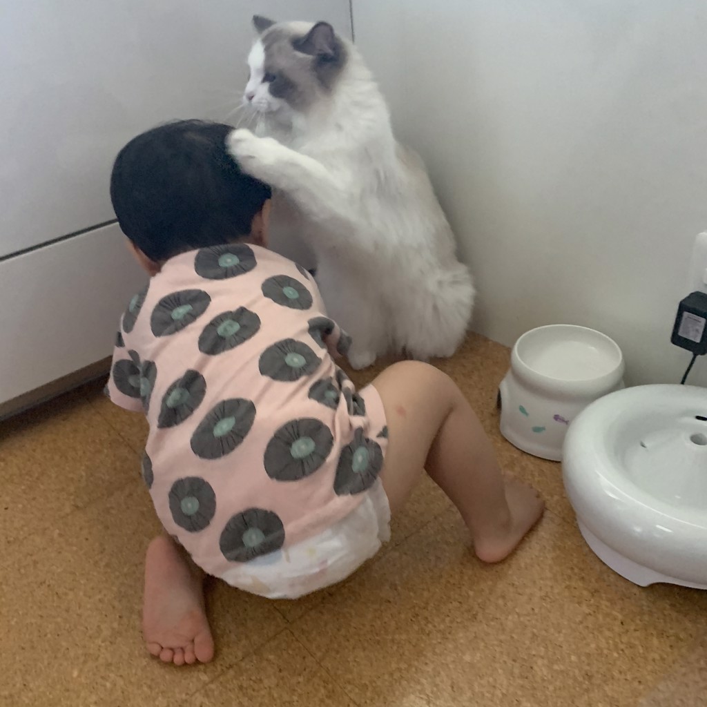 ユーザー写真