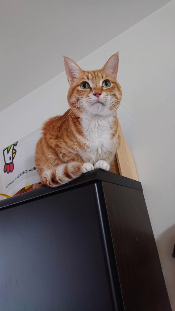 ユーザー写真