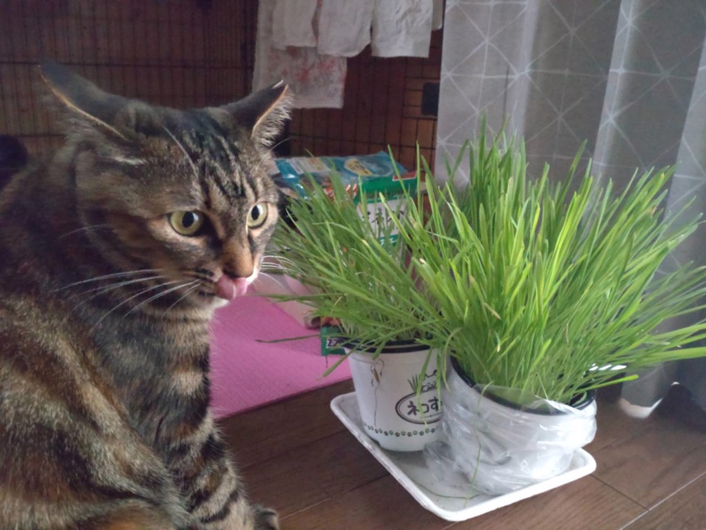 ユーザー写真