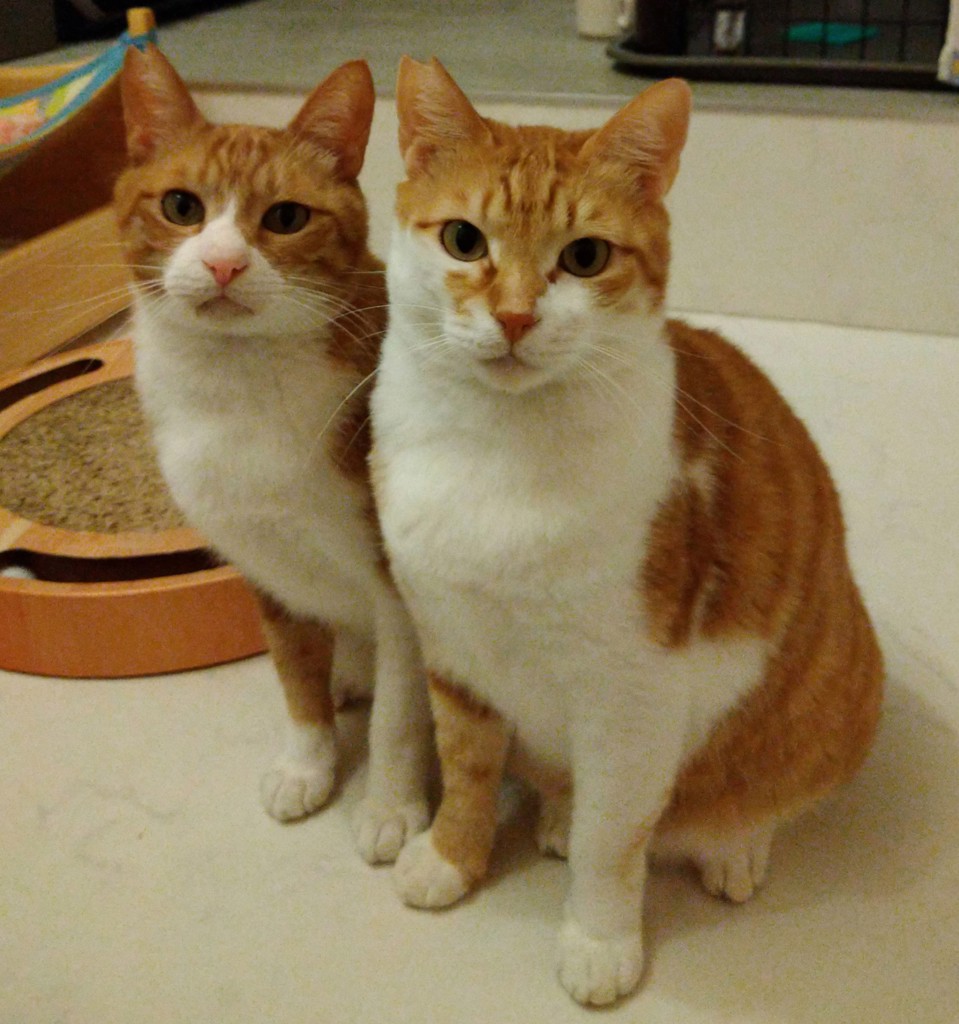 ユーザー写真