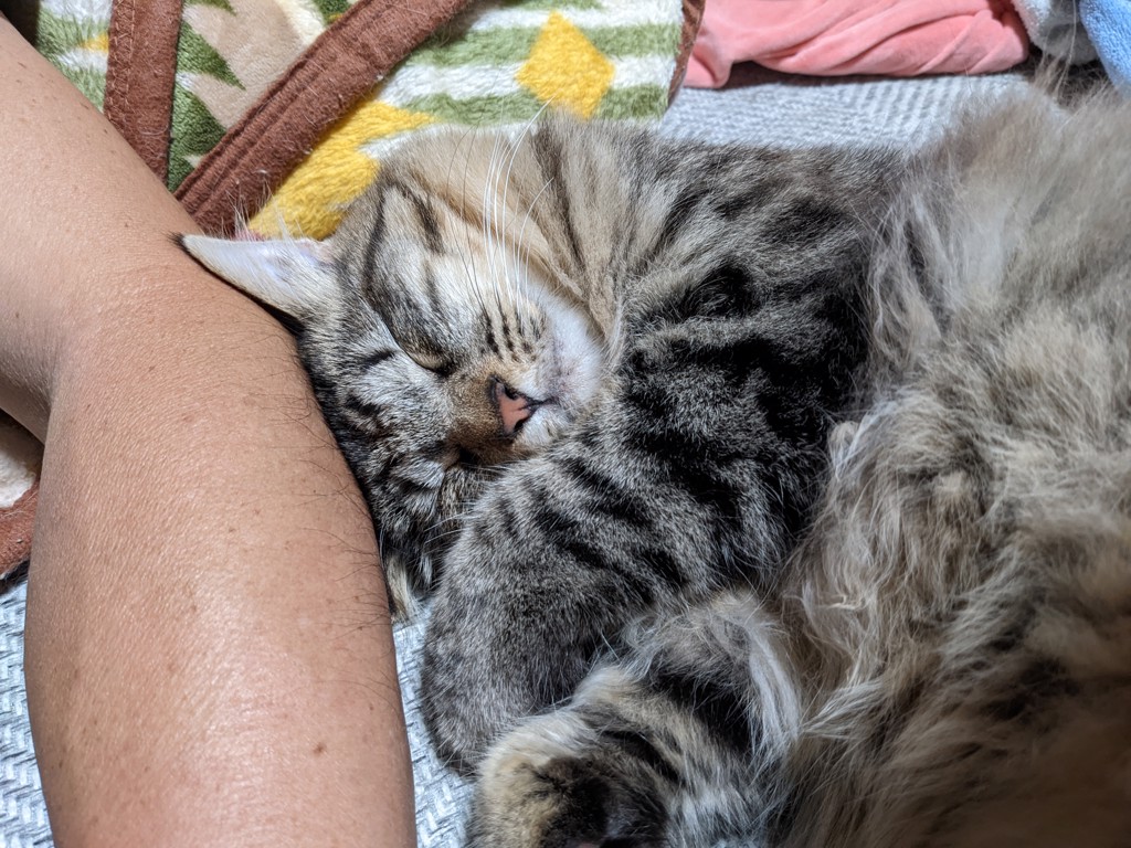 ユーザー写真