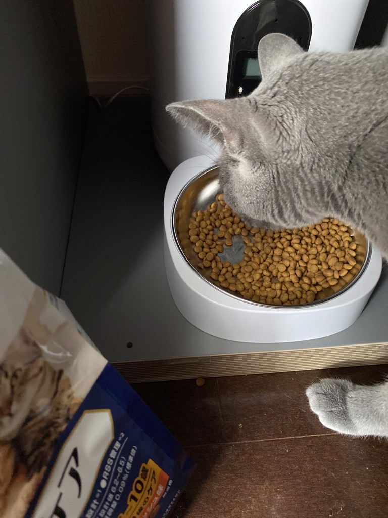ユーザー写真