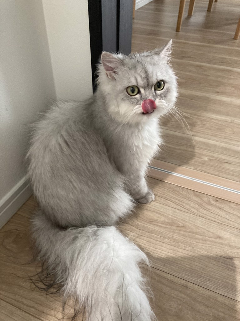 ユーザー写真