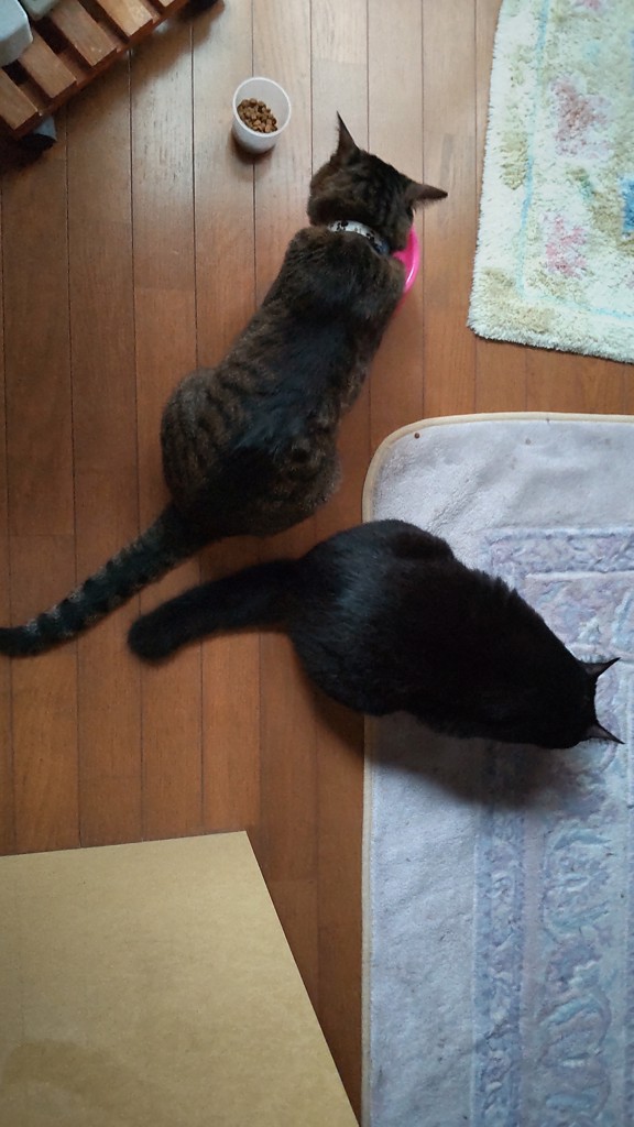 ユーザー写真