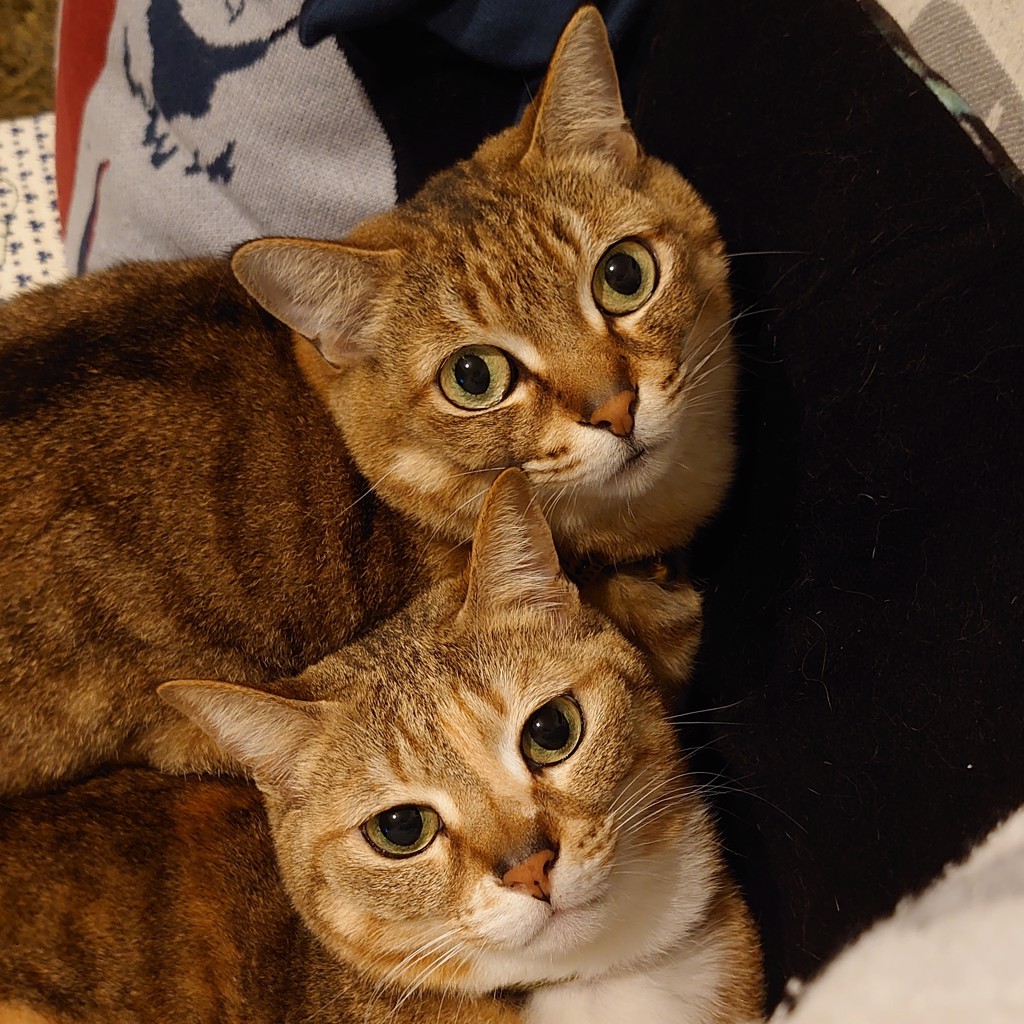 ユーザー写真