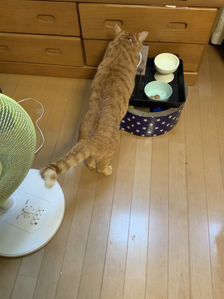 ユーザー写真